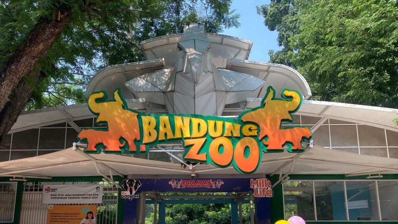 Fakta Unik Tata Kelola Bandung Zoo: Sempat Membaik Drastis Sebelum Tersangkut Kasus Korupsi