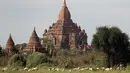 Dua wanita berdiri saat mereka menggembalakan kambing di dekat kuil tua di Bagan, distrik Nyaung U, Myanmar tengah, Rabu (8/12/2021). Bagan merupakan merupakan pusat konsentrasi kuil, pagoda dan stupa Budha terbesar di dunia pada sekitar abad 11 dan 12. (AP Photo)