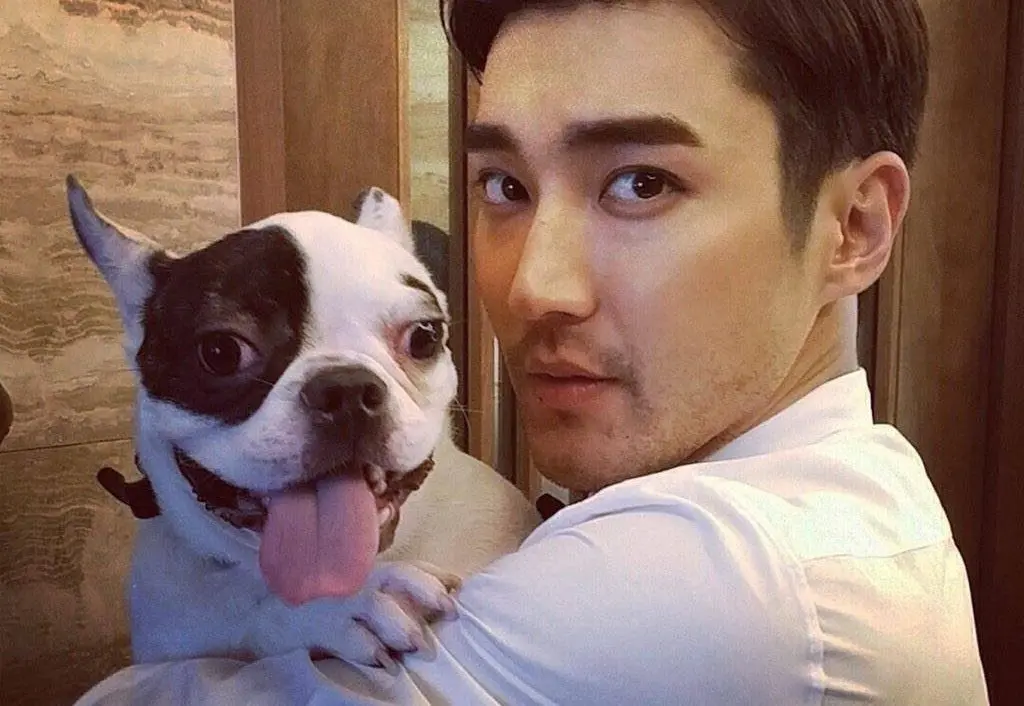 Choi Siwon diminta netizen mundur dari dramanya usai anjingnya menggigit tetangga hingga tewas. (Sumber Foto: soompi)
