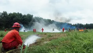 Tangani Hoaks Seputar Karhutla, Pemprov Sumsel Bakal Aktifkan Media Center