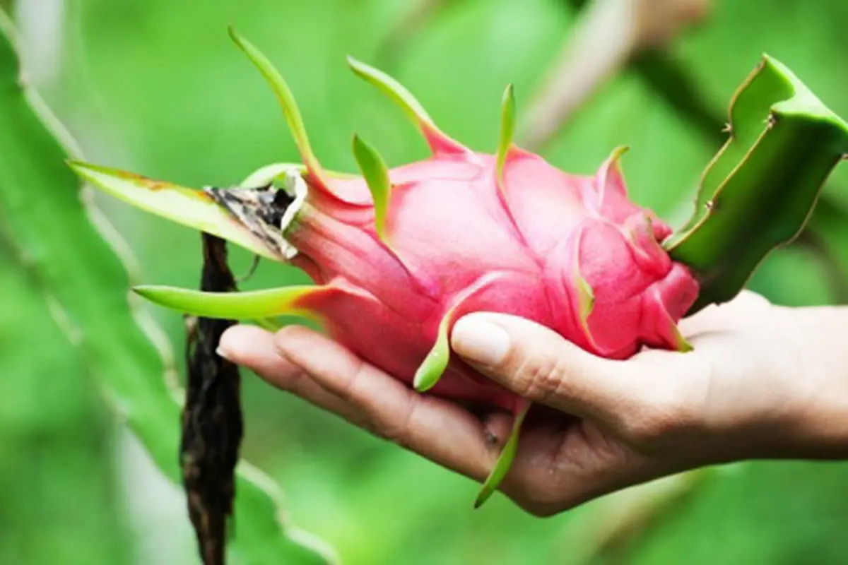 Foto: copyright thinkstockphotos.com