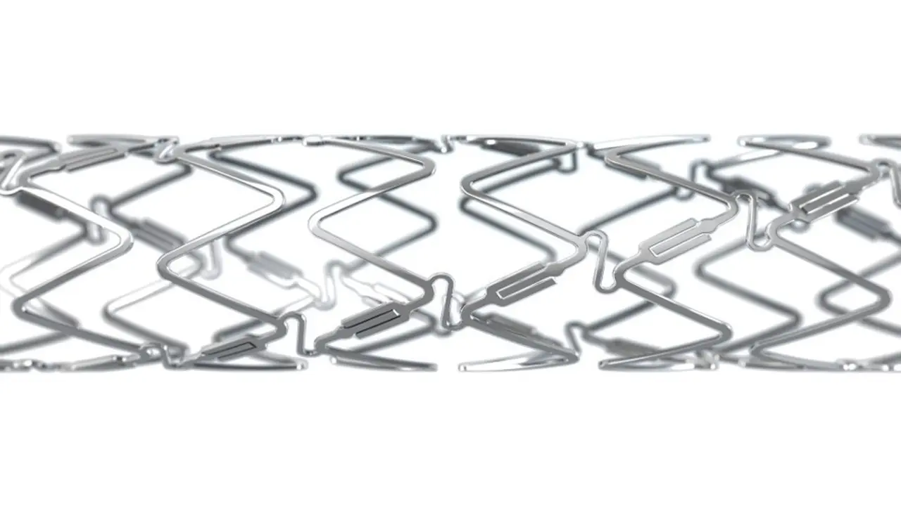 Bioadaptor