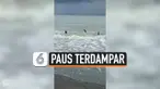 NELAYAN SELAMATKAN 5 PAUS PILOT TERDAMPAR DI PANTAI FILIPINA