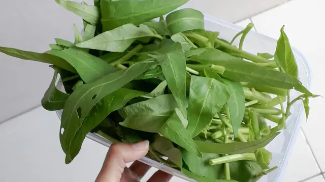 Menjaga Kesehatan Pencernaan