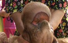 Penampakan anak kambing berkepala mirip kera gegerkan warga Batang