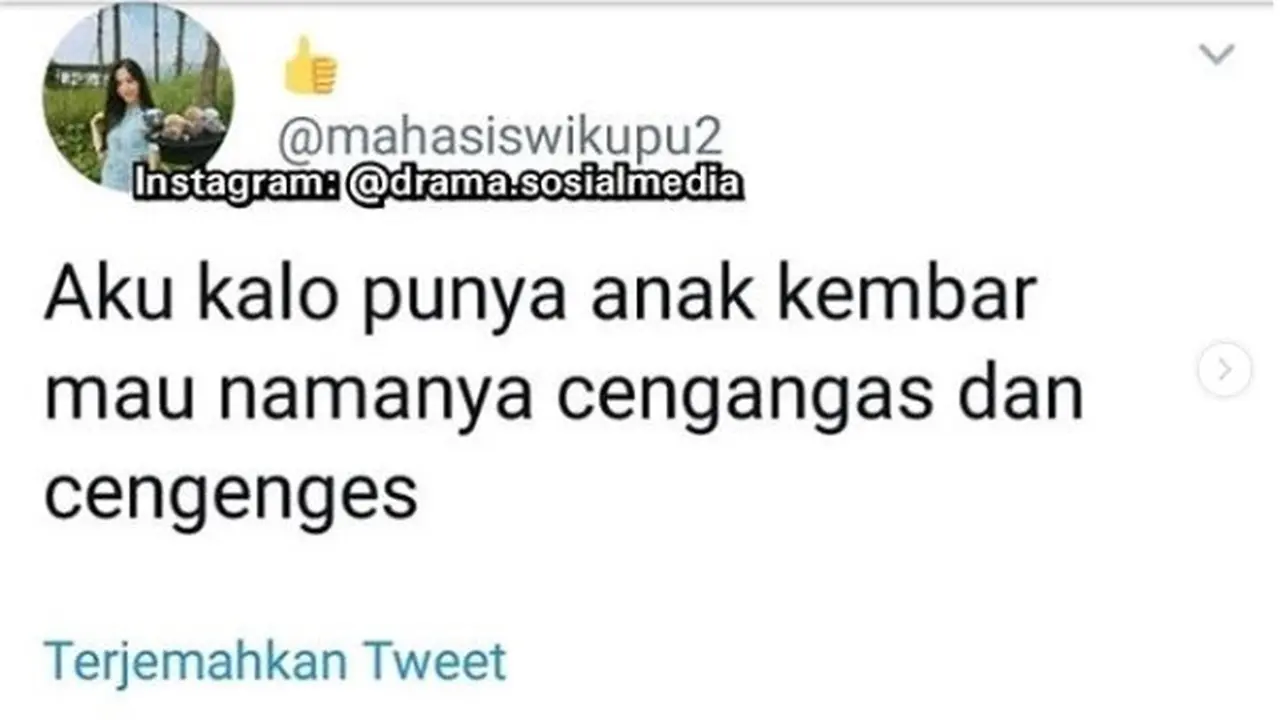 nama anak kembar (foto: Twitter/@drama.sosialmedia)