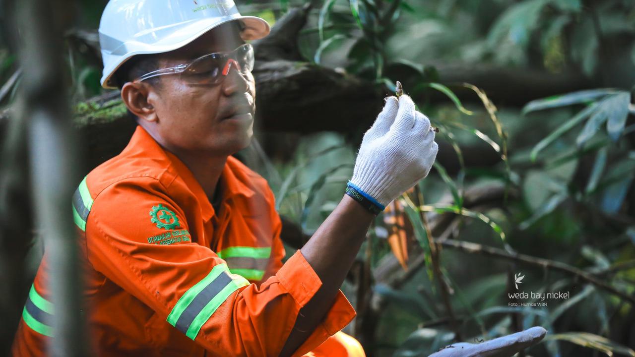 Jaga Ekosistem Halmahera, Weda Bay Nickel Awasi Ratusan Spesies Langka di Area Tambang