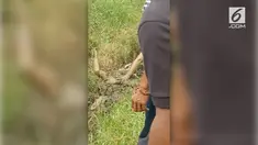 Awalnya pria yang bekerja sebagai tukang instalasi listrik ini dinyatakan sudah tak bernyawa. Salah satu warga menyarankan agar tubuh si pria dikubur di dalam lumpur. Hasilnya pun mengejutkan, pria itu kembali hidup.