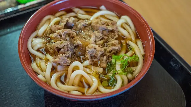 Udon - Image by Larry White from Pixabay