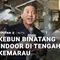 Kebun Binatang Indoor di Tengah Kemarau