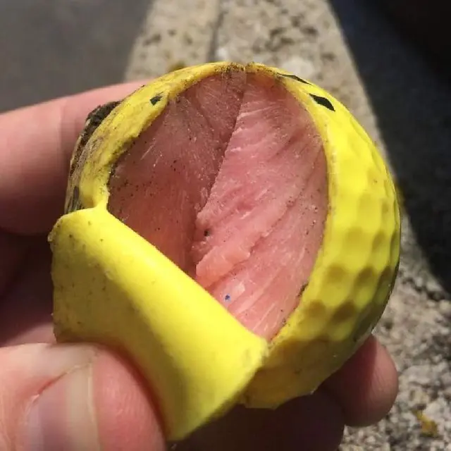 6 Potret Benda Mirip Buah Ini Bikin Melongo, Perlu Teliti