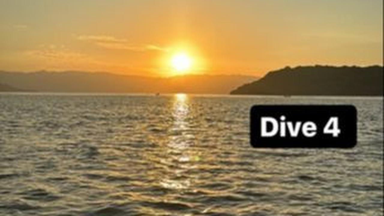"Dive 4," tulisnya. <br>