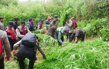 Pengelola Buka Suara soal Larangan Drone Terbang dengan Ladang Ganja di Taman Nasional Bromo Tengger Semeru