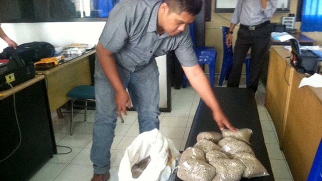 Beginilah bentuk merica palsu yang diamankan Polres Sleman