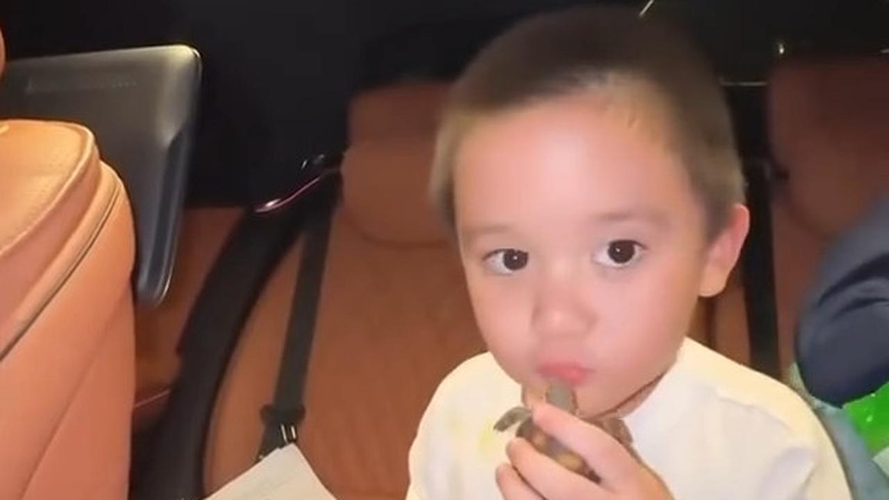 Kumpulan Hewan Peliharaan Athar Anak Citra Kirana dan Rezky Aditya, Ada Katak sampai Iguana
