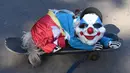 Seekor anjing mengenakan kostum badut duduk diatas papan seluncur saat mengikuti Parade Halloween Anjing Tahunan di Tompkins, New York (21/10). Acara ini diadakan setiap tahunnya di Tompkins Square. (AFP Photo/Timothy A. Clary)