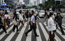 Pemerintah Minta Swasta-BUMN WFH, Gaji dan Cuti Tidak Dikurangi