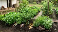 12 Bahan-Bahan di Dapur yang Bisa Bantu Merangsang Pertumbuhan Tanaman Secara Alami dan Efektif