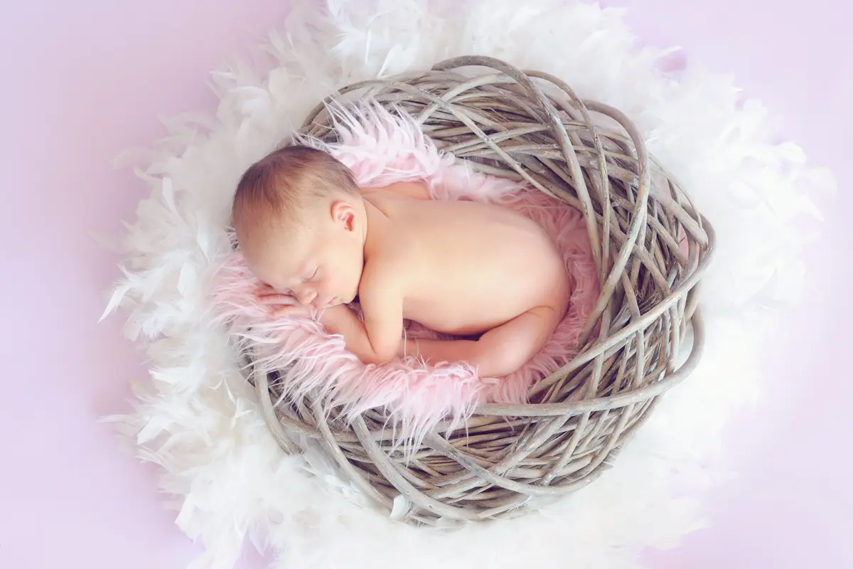 Contoh ilustrasi newborn photoshoot