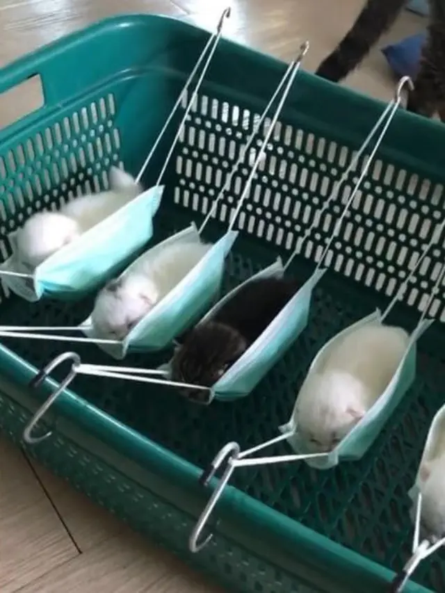 6 Potret Lucu Santai di Tempat Tidur Gantung Low Budget Ini Bikin Ngakak