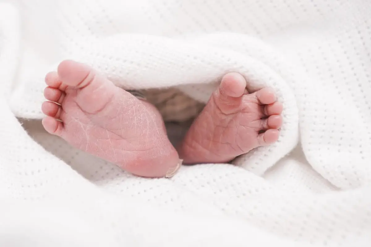 Amanda Manopo dan Kenny Austin Umumkan Kelahiran Anak Pertama, Lahir di Tanggal Kembar 6-6-2026