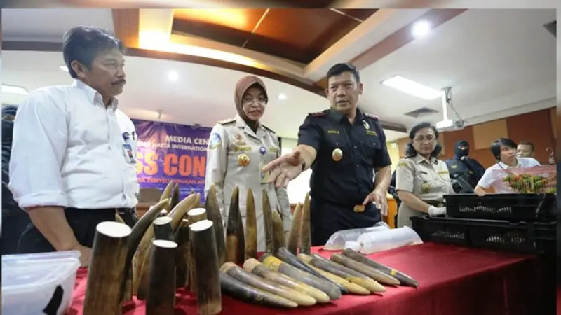 Bea Cukai Soetta Gagalkan 7 Penyelundupan Satwa Langka (Foto: Kemenkeu)