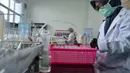 Siswa Sekolah Menengah Kejuruan memproduksi cairan pembersih tangan di Banda Aceh, Aceh, Jumat (12/6/2020). Selain memproduksi cairan pembersih tangan (hand sanitizer), mereka juga membuat pelindung wajah untuk disumbangkan kepada tenaga medis penanganan COVID-19. (CHAIDEER MAHYUDDIN/AFP)