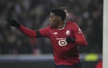 Diminati Klub Besar Eropa, ini Sosok Pemain Lille yang Berpeluang Gabung Barcelona