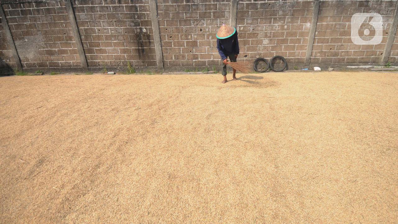 Bapanas Naikkan Harga Pembelian Gabah Kering Panen