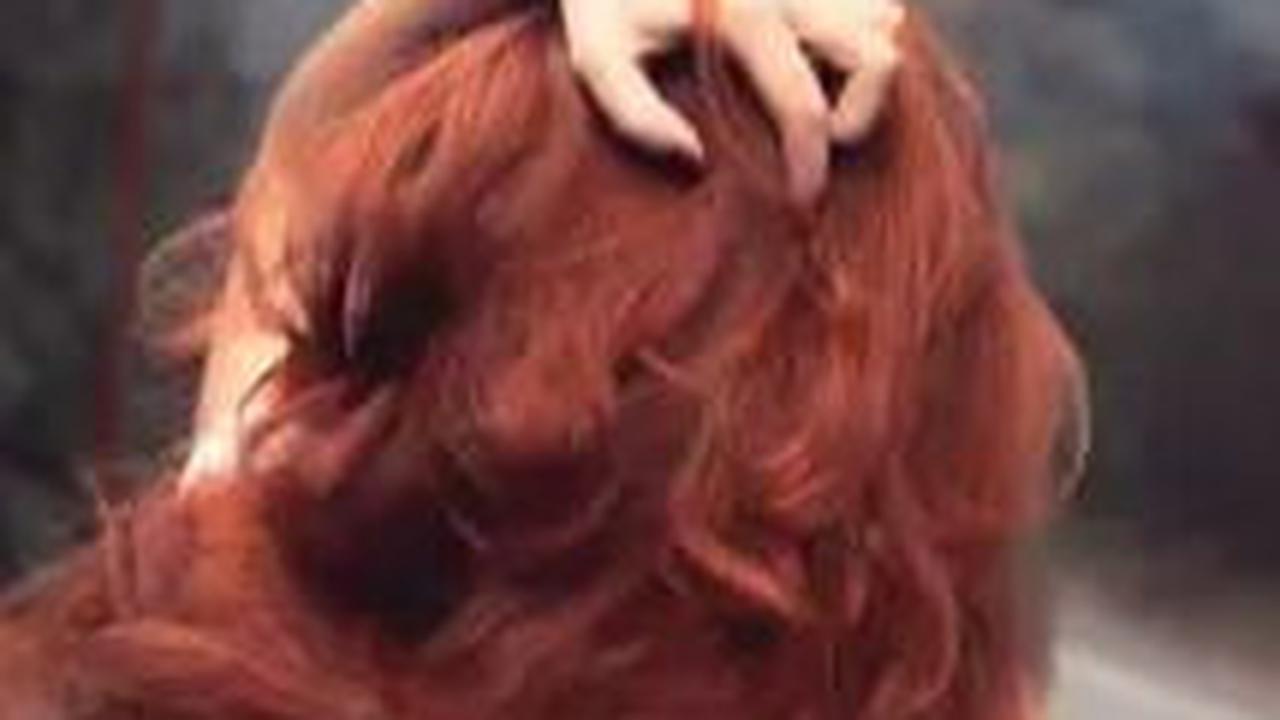 Membatasi Kebiasaan Mewarnai atau Mengecat Rambut<br>