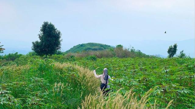Lanscape Gunung Kuta di Sentul Bogor