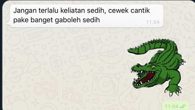 6 Chat Dari Buaya Darat Ini Bikin Cewek Baper Sekaligus Ketawa Geli Hot Liputan6 Com