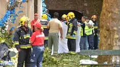Petugas pemadam kebakaran setempat mengevakuasi korban pohon tumbang di Funchal, Portugal (15/8). Sedikitnya 11 orang tewas akibat tertimpa pohon tumbang tepat ketika berlangsung festival keagamaan. (AFP Photo/Rui Silva)