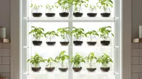 10 Ide Model Kebun Mini Tanaman Herbal dalam Rak, Lengkap DIY Praktisnya