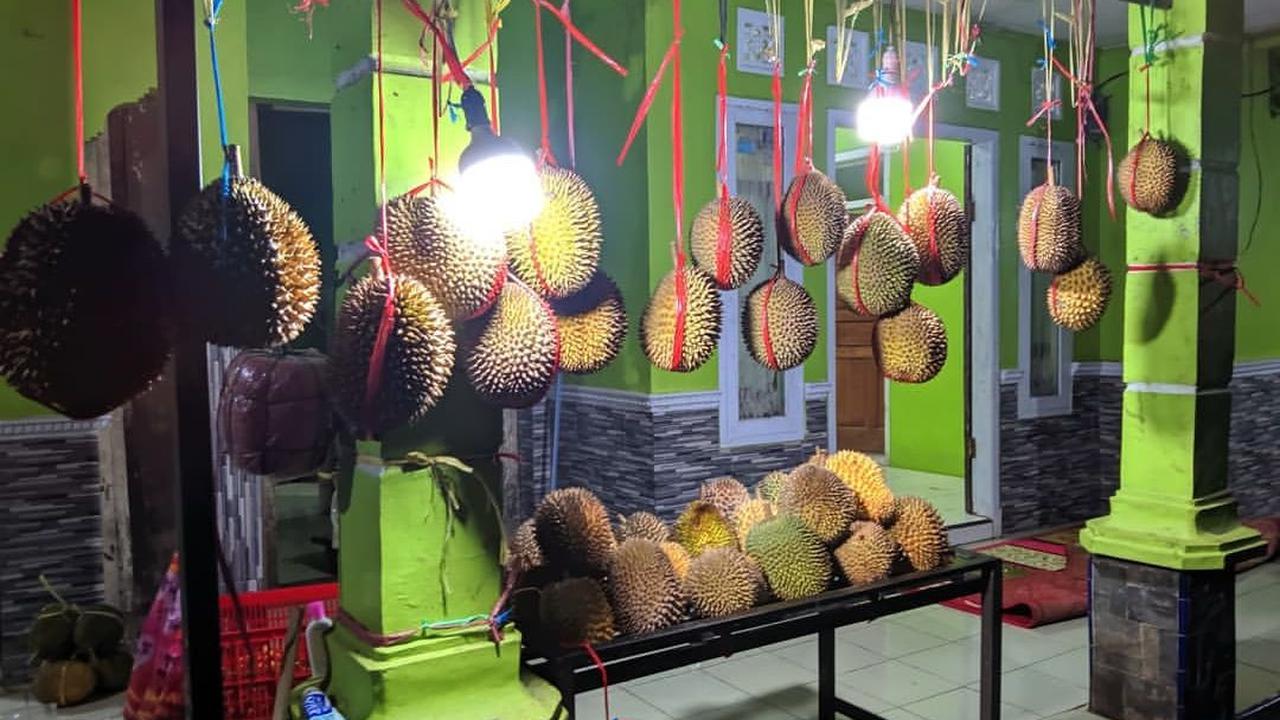 Duriannya Lezat karena Tidak Berair
