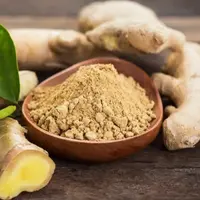 Ilustrasi Jahe (Sumber: Shutterstock)