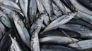 Bekerja sebagai nelayan merupakan mata pencaharian dari mayoritas warga Desa Tulehu. Ikan Cakalang dan Tatihu menjadi komoditi khas dari para nelayan di Tulehu. (Bola.com/Vitalis Yogi Trisna)