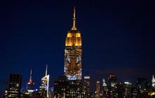 Wajah singa Cecil tutupi Empire State Building