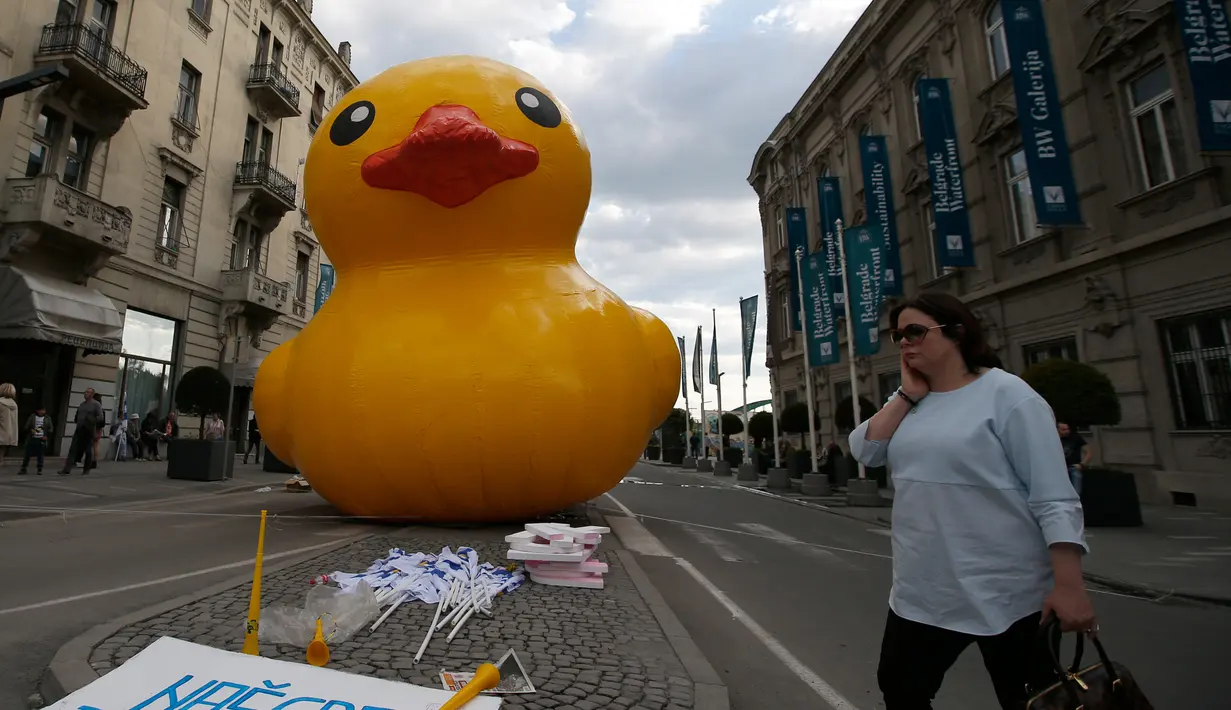 Sebuah bebek karet diletakkan sekelompok orang di Beograd, Serbia, Selasa (25/4). Demonstran mengkritik rencana tepi laut Belgrade yang telah melakukan pembongkaran misterius satu tahun yang lalu. (AP Photo / Darko Vojinovic)