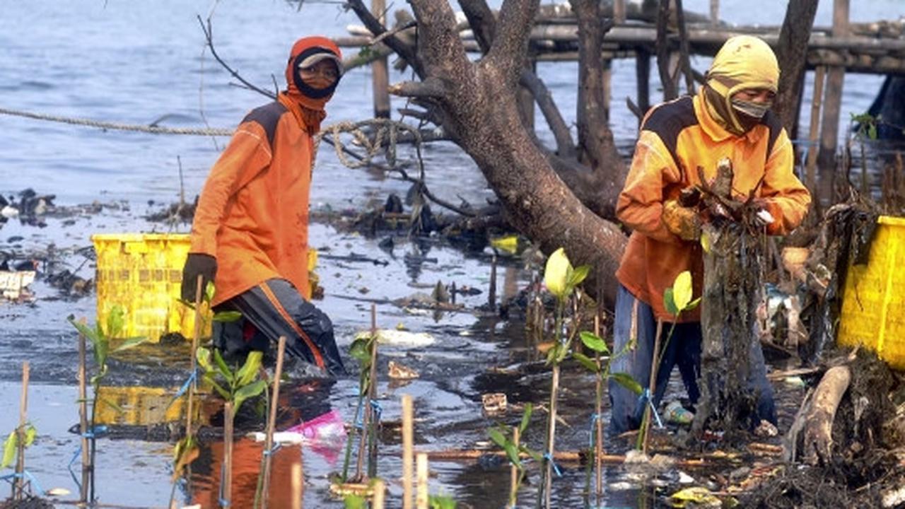 Melihat aksi para penjaga kebersihan pantai