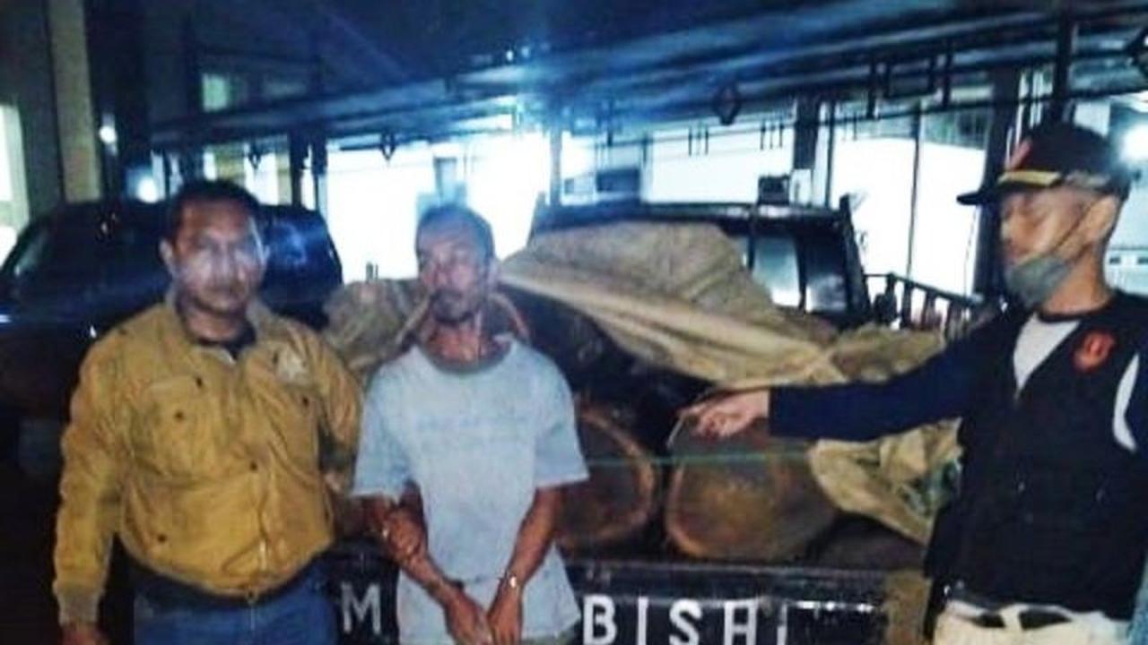 Polhutmob Perhutani Tuban Tangkap Pelaku Pembalakan Liar, Sita Kayu Jati Ilegal