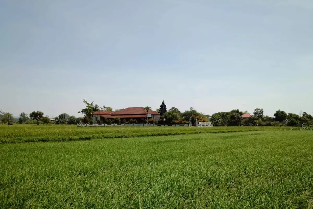 RJIT Ditjen PSP Tingkatkan IP dan Produktivitas Pertanian di Boyolali