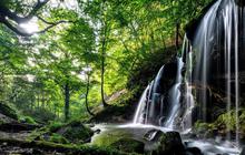 4 Tempat Wisata Puncak Bogor, Cocok untuk Destinasi Liburan Keluarga