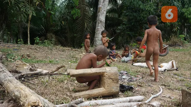 Orang Rimba Jambi