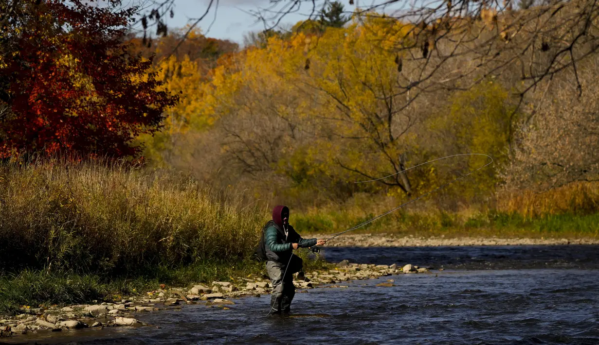 Seorang nelayan melemparkan pancingnya saat dia memancing ikan trout di Credit River di antara warna-warni musim gugur di Mississauga, Ontario, pada Kamis, 27 Oktober 2022. (Nathan Denette/The Canadian Press via AP)
