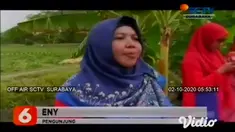 Area persawahan di Kecamatan Karanggeneng, Kabupaten Lamongan ini dikunjungi oleh ratusan ibu-ibu dan pelajar yang antusias untuk memetik buah dalam acara panen raya semangka, melon dan garbis.