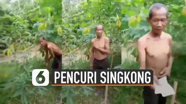 VIDEO: Curi Singkong, Seorang Kakek Diberi Uang Pemilik Kebun