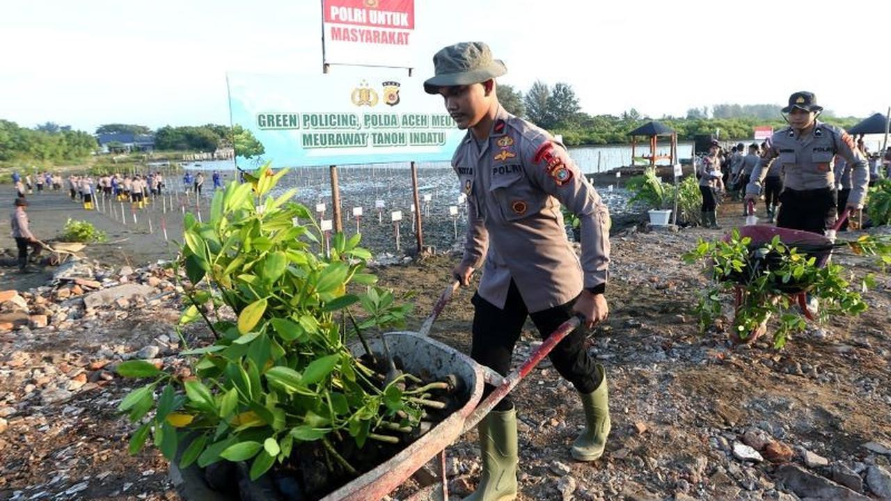 AUTP Jadi Opsi Perlindungan Utama Petani dari Risiko Gagal Panen Akibat Cuaca Ekstrem