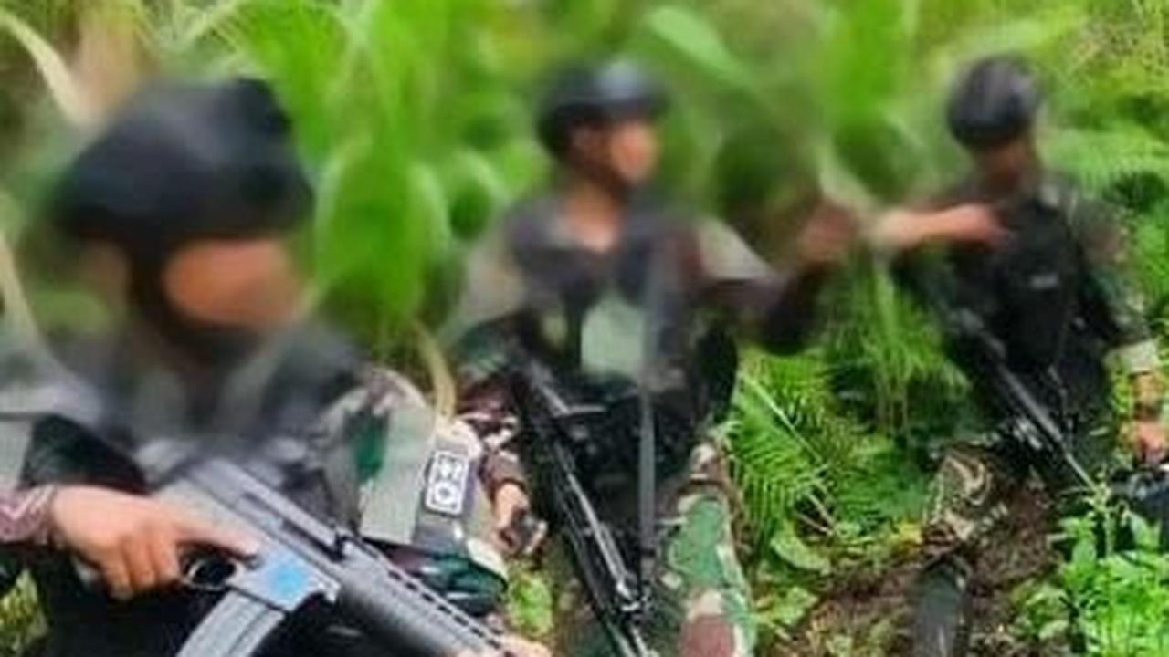 Belah Hutan-Lewati Sungai, Pasukan TNI Tewaskan 5 KKB saat Kontak Tembak di Pegunungan Papua