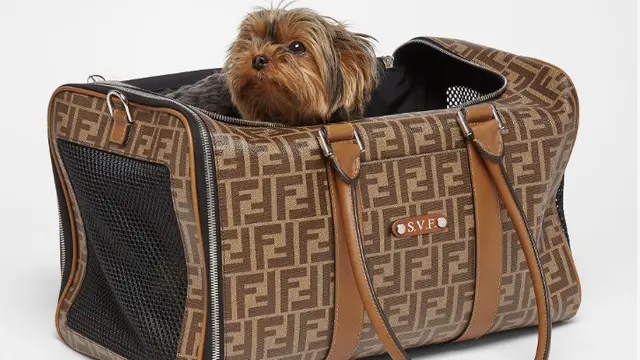 Bukan Cuma Manusia, Deretan Brand Luxury Ini Punya Koleksi yang Bikin Hewan Peliharaan Tampil Mewah